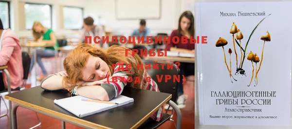 шишки Алексеевка