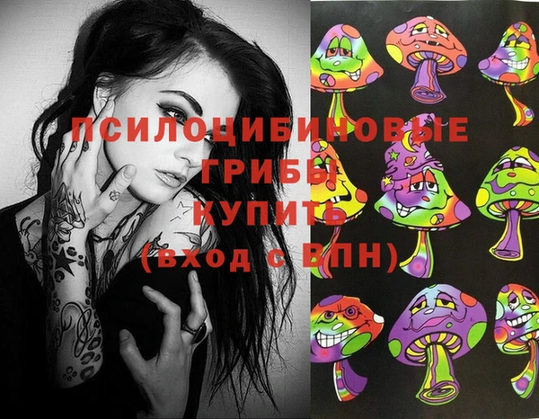 первитин Алексин