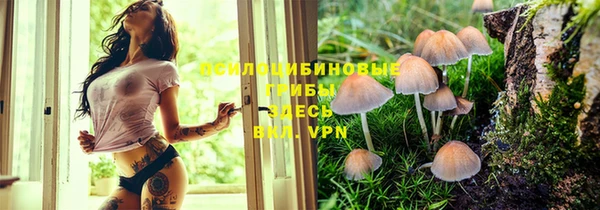 шишки Алексеевка