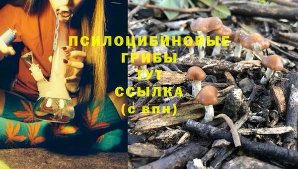 первитин Алексин
