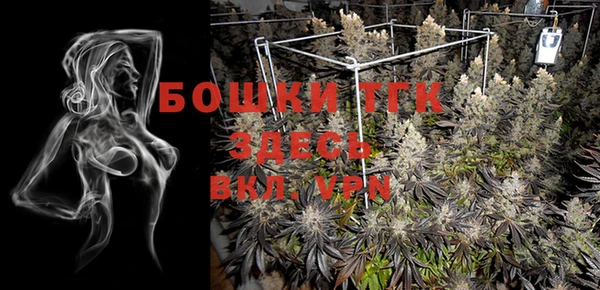 шишки Алексеевка