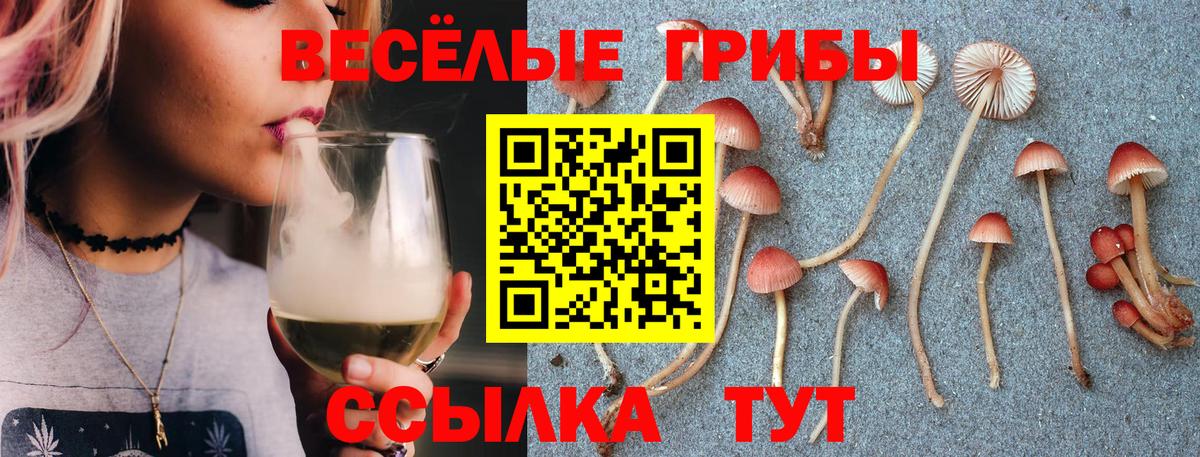 Псилоцибиновые грибы GOLDEN TEACHER  Вход с VPN  Саки 